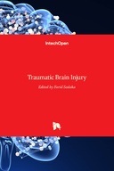 Traumatic Brain Injury