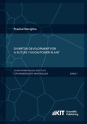 Divertor Development for a Future Fusion Power Plant