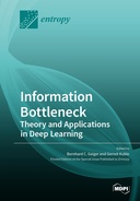 Information Bottleneck