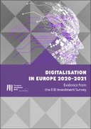 Digitalisation in Europe 2020-2021