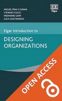 Elgar Introduction to Designing Organizations