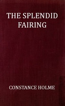 The Splendid Fairing
