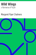 Wild Wings A Romance of Youth