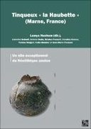 Tinqueux « la Haubette » (Marne, France)