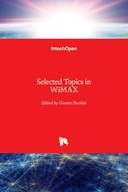Selected Topics in WiMAX
