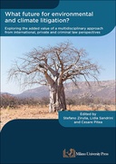 What future for environmental and climate litigation?