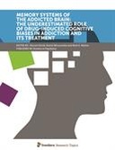 Memory Systems of the Addicted Brain: The Underestimated Role of Drug-Induced Cognitive Biases in Addiction and Its Treatment