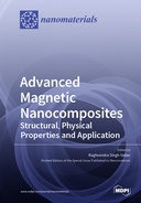 Advanced Magnetic Nanocomposites