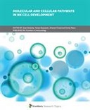 Molecular and Cellular Pathways in NK Cell Development