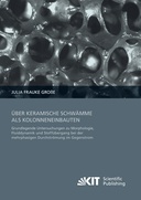 Über keramische Schwämme als Kolonneneinbauten
