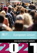 EIB Investment Survey 2021 - EU overview