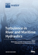 Turbulence in River and Maritime Hydraulics