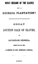 What Became of the Slaves on a Georgia Plantation? Great Auction Sale of Slaves, at Savannah, Georgia, March 2d & 3d, 1859
