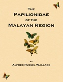 On the phenomena of variation and geographical distribution as illustrated by the Papilionidae of the Malayan region