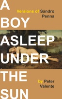 A Boy Asleep Under the Sun