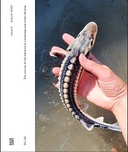 DELUS. The Journal of the Institute of Landscape and Urban Studies