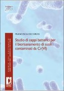 Studio di ceppi batterici per il biorisanamento di suoli contaminati da Cr(VI)