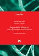 Beyond the Blueprint
