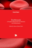 Erythrocyte