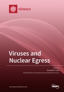 Viruses and Nuclear Egress