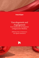 Vasculogenesis and Angiogenesis
