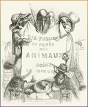 Vie privée et publique des animaux