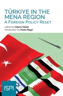 Türkiye in the MENA Region