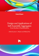 Design and Applications of Self-Assembly Aggregates