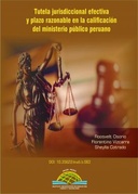 Tutela jurisdiccional efectiva y plazo razonable en la calificación del ministerio público peruano