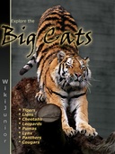 Wikijunior: Big Cats