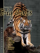 Wikijunior: Big Cats Wikijunior: Big Cats