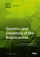 Genetics and Genomics of the Brassicaceae