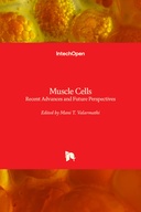 Muscle Cells