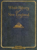 Whale Fishery of New England