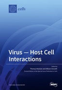 Virus—Host Cell Interactions