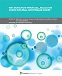 Wnt Signaling in Immune Cell Regulation During Microbial Infection and Cancer