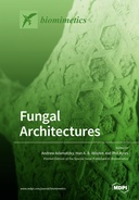 Fungal Architectures
