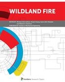 Wildland Fire