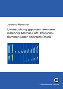 Untersuchung gepulster laminarer rußender Methan-Luft Diffusionsflammen unter erhöhtem Druck