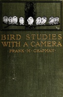 Bird studies with a camera : $b with introductory chapters on the outfit and methods of the bird photographer