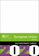 EIBIS 2020 - EU overview